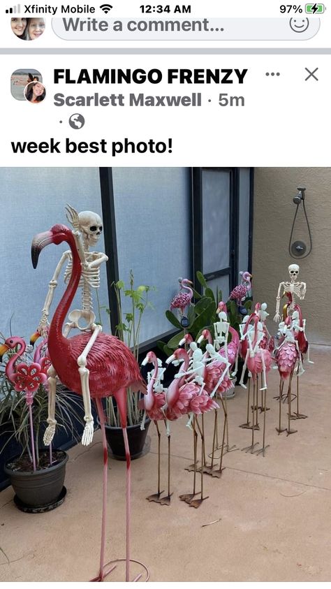 Skeleton On Flamingo, Barbie Yard Decor, Skeleton Riding Flamingos, Skeletons Riding Flamingos, Flamingo Halloween Decorations, Halloween Flamingo Decor, Flamingo Trunk Or Treat, Halloween Flamingos, Flamingo Skeleton