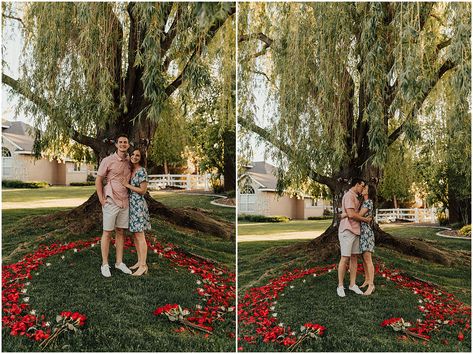 Rose Petals Proposal, Rose Petal Proposal, Proposal Inspiration, Surprise Proposal, High School Sweethearts, Rose Petals, Dolores Park, High School, Photography