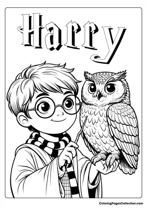 owl coloring pages Owl Coloring Page, Simple Owl, Classe Harry Potter, Harry Potter Coloring Pages, Owl Coloring, Cumpleaños Harry Potter, Harry Potter Painting, Owl Coloring Pages, Lion Drawing