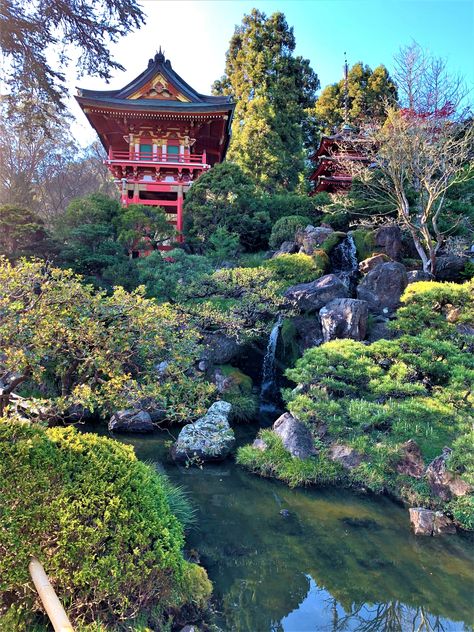 Halloween Decorations Bedroom, Aesthetic Flower Drawing, Japanese Tea Garden San Francisco, Bedroom Decor Fall, Spring Travel Destinations, San Francisco Pictures, San Francisco Itinerary, Places In San Francisco, San Francisco Travel Guide