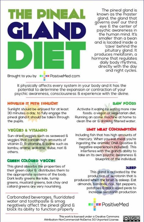 Pituitary Gland, Pineal Gland, Foods To Avoid, Human Mind, Health Remedies, Natural Healing, Holistic Health, Energy Healing, Natural Health