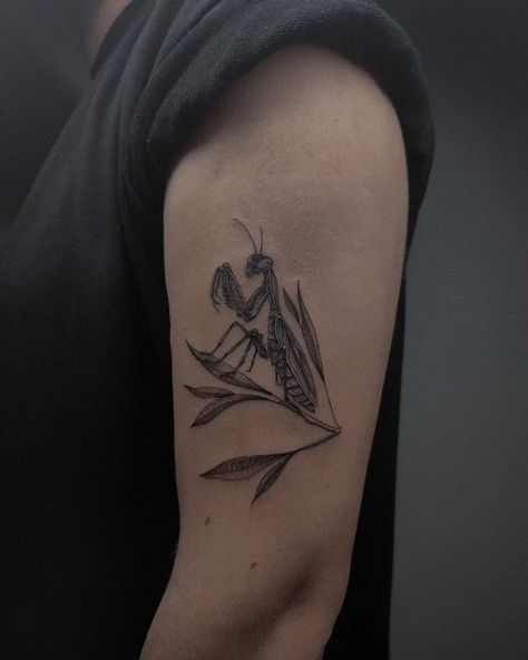 Praying Mantis. #attistattoo #finelinetattoo #tattoogent #tattoodestelbergen #tattooartist #tattoobelgium #tattooarte #tattoomodel #prayingmantistattoo #prayingmantis #mantis #mantistattoo Small Praying Mantis Tattoo, Prey Mantis Tattoo, Orchid Mantis Tattoo, Mantis Tattoo Design, Praying Mantis Tattoo, Prey Mantis, Mantis Tattoo, Orchid Mantis, Praying Mantis