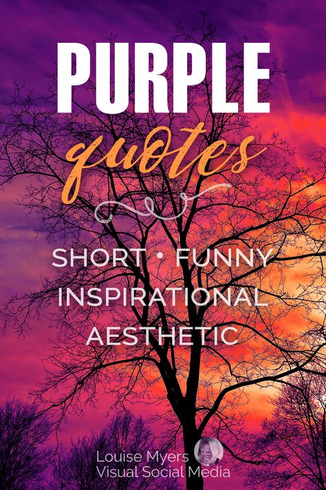 brilliant purple and orange sky with silhouettes of bare trees. Purple Aesthetic Captions, Quotes About Purple Color, Purple Quotes Aesthetic, Purple Sayings, Inspirational Aesthetic, Short Sayings, Dress Quotes, Purple Quotes, Purple Day