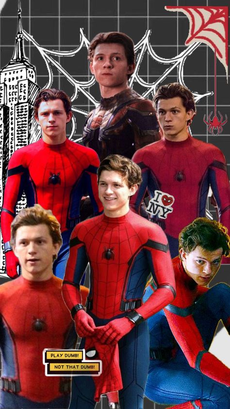 Sipder Man, Peter Parker Tom Holland, Tom Spiderman, Spiderman Peter Parker, Parker Spiderman, Peter Parker Spiderman, Image Spiderman, Spiderman Theme, Spaider Man