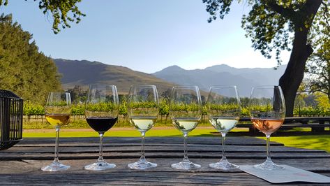 Best Us Cities To Visit, Us Cities To Visit, Stellenbosch South Africa, Seneca Lake, Africa Tour, Wine Tourism, Cities To Visit, Wine Trail, Bungee Jumping