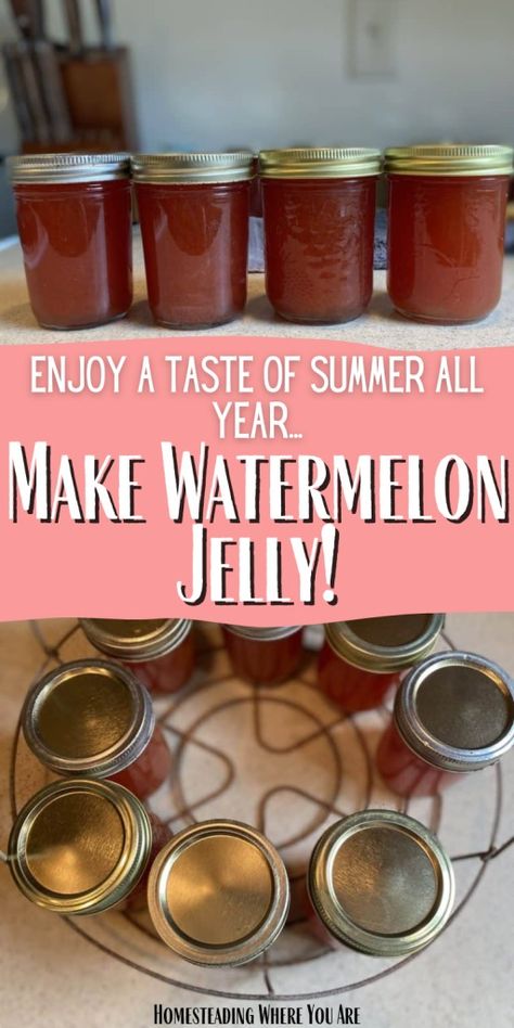 Watermelon Jelly Recipe Watermelon Jelly Recipe, Watermelon Jam, Berry Pie Recipe, Easy Jam Recipe, Canning Jam Recipes, Watermelon Jelly, Easy Canning, Canning Fruit, Canning Jam