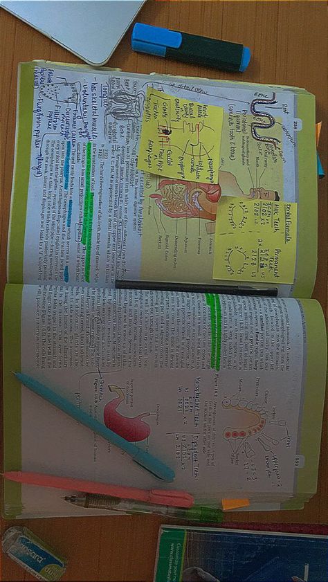 NEET study aesthetic
Study Aesthetic
Zoology
Digestive system Study Material For Neet, Neet Result Sheet, Ncert Notes For Neet, Neet Ncert Highlights, Neet Study Asthetic, Study Materials Aesthetic, Neet Study Aesthetic, Neet Aspirant Study Table, Time Table For Neet Aspirants