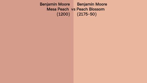 Mesa Peach Benjamin Moore, Peach Benjamin Moore, Basement Suite, Trailer Renovation, Historic Colours, Peach Blossom, Peach Blossoms, Benjamin Moore, House Colors