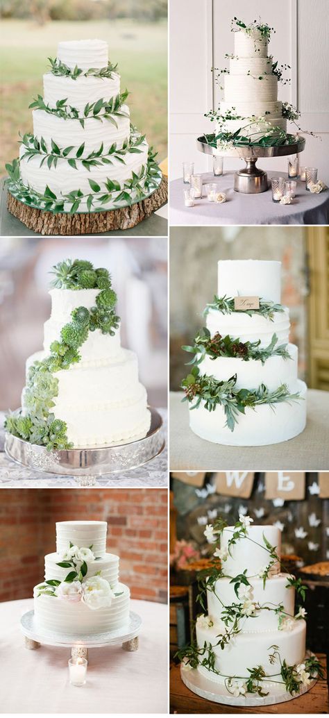 Nature Green and White Wedding Cakes for Boho Weddings Cakes With Greenery, Wedding Cake Nature, Wedding Cake Greenery, Succulent Wedding Cakes, Fall Garden Wedding, Green Wedding Cake, The Wedding Cake, Wedding Simple, Sage Wedding