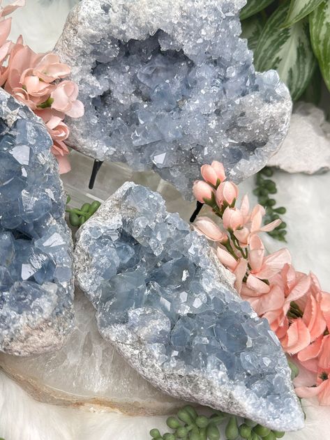 Calming and cute Blue Celestite (celestine) crystal clusters from Madagascar. Baby blue with a nice chunky sparkle to these raw geode style specimens. The two smaller ones have a slightly deeper blue coloring, while the largest is a light blue, but still stunnking. All of these can only lay flat. Stand is not included, but you can find them for sale on this website. I used the size medium in the photo. The crystal of angels. You will receive the exact Blue Celestite cluster you choose! More celestite options available on the website, plus learn more about the celestite meaning on the website! --- Learn about crystal properties on the 'Crystal Quick Facts' page. Orders are packed with love, care, & free gifts. Colors may vary due to the screen. See FAQ for more. Follow @contempocrystals on Celestine Crystal, Crystal Identification, Magical Objects, Colorful Rocks, Minerals Crystals Stones, Blue Celestite, Crystal Clusters, Magic Stones, Crystal Properties