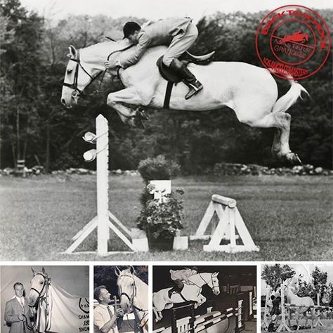 Snowman - from Plow Horse to Nat'l Horse of the Year Snowman Horse, Perang Dunia Ii, Riding A Horse, Feeling Thankful, Hunter Jumper, All The Pretty Horses, Horse Crazy, Horse Jumping, Equestrian Life