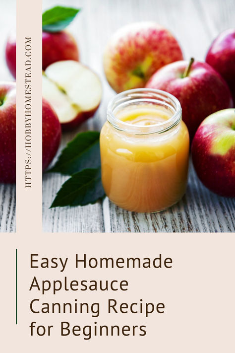 jar of homemade applesauce Pressure Canning Applesauce, Easy Homemade Applesauce, Bushel Of Apples, Canning Applesauce, Recipe For Beginners, Canning Recipe, Homemade Applesauce, Autumn Recipes, Crisp Autumn