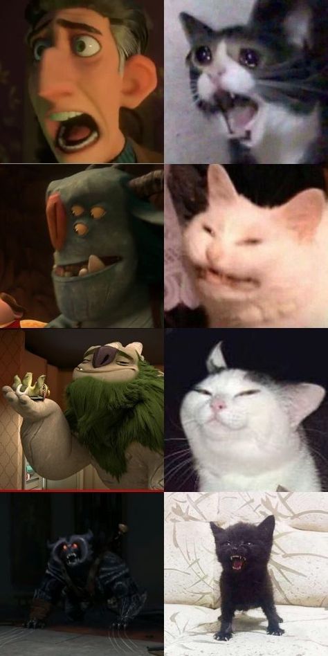 Noxus League Of Legends, Troll Meme, Dreamworks Characters, Trollhunters Characters, Arcadia Bay, Being Human, Dreamworks Trolls, Dreamworks Animation, Transformers Art