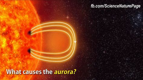 Aurora occurs when the sun ejects several billion tons of plasma into space. This plasma travels outward along with the solar wind and when it encounters Earth's magnetic field, it travels down the field lines that connect at the poles. Atoms in the plasma interact with atoms in Earth's upper atmosphere. This reaction produces the colorful lights we call aurora. Credit: NASA Solar System For Kids, Random Gif, Earth Atmosphere, Solar Wind, Deep Thought, Our Solar System, Star Citizen, Earth Science, Solar System