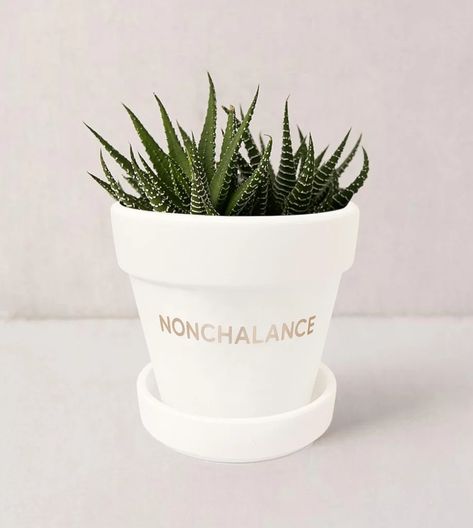 Indoor Succulent Planter, Ceramic Succulent Pots, Plant Puns, White Ceramic Planter, Pots For Plants, Succulent Gifts, Indoor Herb Garden, Succulents Indoor, White Pottery