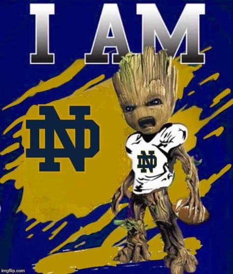 Notre Dame Cheerleaders, Notre Dame Football Aesthetic, Notre Dame Wallpaper, Notre Dame Baby, Touchdown Jesus, Notre Dame Basketball, Noter Dame, Fantasy Football Meme, Lou Holtz