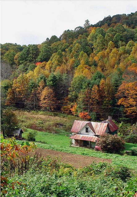 . Appalachian Home Decor, Appalachian House, Appalachian Farmhouse, Appalachian Farm, Appalachian Living, Appalachian Homestead, Mountain Farmhouse, Appalachian People, Country Woman