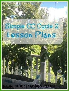 Simple Classical Conversations Cycle 2 Tutor Plans Week 1 Classical Conversations Review Games, Cc Cycle 2, Classical Conversations Essentials, Cc Foundations, Classical Conversations Foundations, Classical Homeschool, Effective Classroom Management, Science Week, Philosophy Of Education