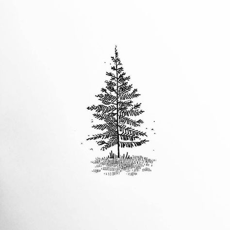 Artist: @thomas.merceron | #blackworknow if you would like to be featured Submissions/business inquiries blackworknow@gmail.com Follow our tattoo page @blacktattoonow Pine Tattoo, Tree Drawing Simple, Pine Tree Drawing, Tree Doodle, White Pine Tree, Paper Background Design, Tree Sketches, Christmas Doodles, Black And White Sketches