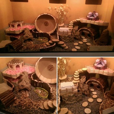 Hamster Fairy Cage, Rat Cage Decoration Ideas, Natural Hedgehog Enclosure, Themed Hamster Enclosure, Mouse Cage Ideas, Natural Hamster Cage Ideas, Hedgehog Cage Ideas, Kandang Hamster, Hedgehog Habitat