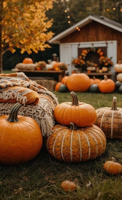 Autumn Pumpkin Aesthetic, Autumn Farm, Colorful Cushions, Autumn Cottage, Wooden Benches, Fall Cottage, Autumn Magic, Fall Country, Autumn Scenes