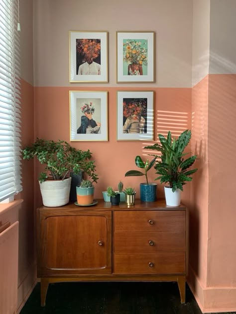 Dulux Boho Blush, Terracotta Painted Walls, Terracotta Half Wall, Dulux Tuscan Terracotta, Tuscan Terracotta Dulux Paint, Terracotta Decor Living Rooms, What Color To Paint Living Room, Terracotta Room Decor, Half Wall Color Ideas