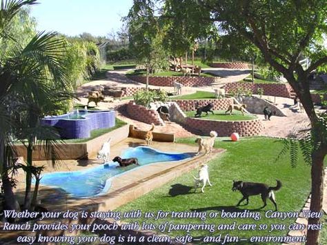 Cool idea for a play yard. I would like to (space permitting) add at least one or two different levels into my outdoor play yards as it provides some added interest for the dogs. Dog Park Design, Indoor Dog Park, Dog Friendly Backyard, Boarding Kennels, Dog Backyard, Dog Boarding Kennels, Dog Hotel, Dog Yard, Dog Playground