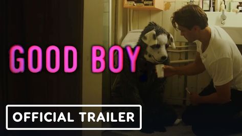 Good Boy - Official Trailer (2023) Gard Løkke, Katrine Lovise Øpstad Fredriksen Boy Movie, Movies For Boys, Movie 2023, Puppy Play, Good Boy, Official Trailer, Perfect Match, Acting, Trailer