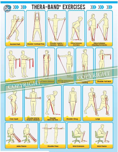 Excersise Band Workout, Theraband Exercises, Occupational Therapy Kids, Resistance Band Training, Trx Workouts, Workout Posters, Resistance Band Workout, Resistance Workout, Circuit Workout