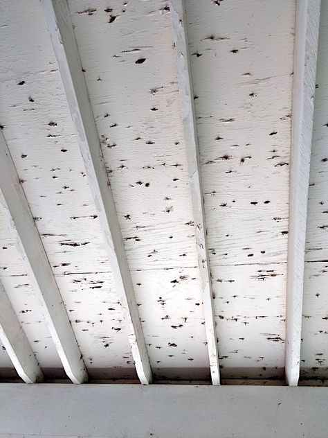 How can I conceal the underside of roof sheathing with protruding roofing nails? - Home Improvement Stack Exchange Roof Eves Ideas, Underside Of Porch Roof Ceilings, Under Porch Ceiling Ideas, Outdoor Porch Ceiling Ideas, She Shed Ceiling Ideas, Porch Ceiling Ideas Cheap, Shed Ceiling Ideas, Porch Ceiling Ideas, Painting Plywood