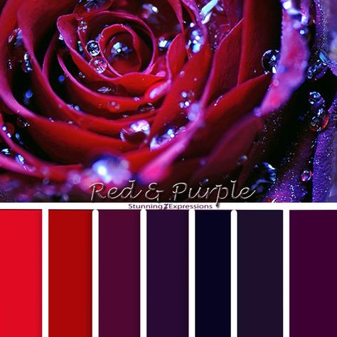 Red Black Purple Color Palette, Deep Cool Color Palettes, Blue Purple Scarlet Color Scheme, Purple And Red Color Scheme, Dark Rose Color Palette, Purple And Red Colour Palette, Red Purple Black Wedding Color Schemes, Character Pallete, Purple Red Color Palette