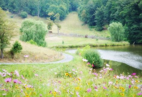 The Lake of Shining Waters (Barry's Pond) Lake Of Shining Waters, Fairy Lake Aesthetic, Lake Images Water, Meadow With River, The Mountain Valley Spring Water, Lake Photos, Romantic Country, Happy Trails, Prince Edward Island