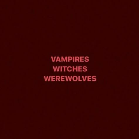 Vampire Diaries Red Aesthetic, Werewolf Au, Tvdu Aesthetic, Vampire Diaries Aesthetic, Tvd Quotes, Tvd Aesthetic, Aesthetic Text, Werewolf Aesthetic, Tvd Dr