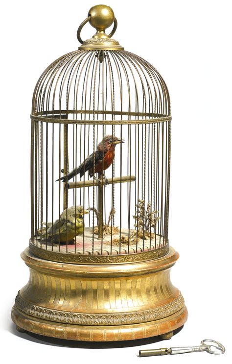 Hamster Cage Ideas, Bird Cage Ideas, Antique Music Box, Antique Bird Cages, Steampunk Bird, Treasure Jewelry, Singing Bird, Bird Cage Decor, Vintage Bird Cage