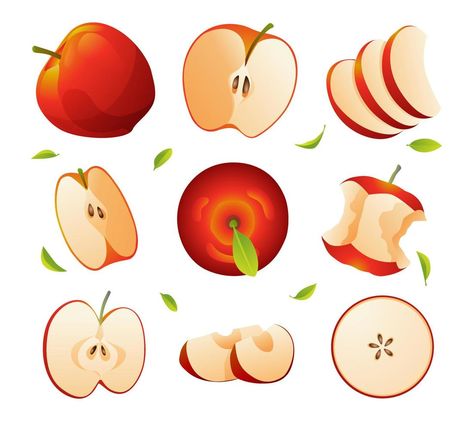 Fruit Slices Drawing, Apple Slice Illustration, Apple Slice Drawing, Apple Illustration, Apple Cut, Apple Rings, Leaves Illustration, Fruit Slice, Apple Fruit