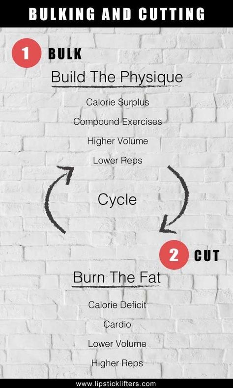 Split Routine, Glute Training, Workout Board, Bulking Season, Workout Program Gym, Personal Training Business, Fat Burning Workout Routine, Simple Exercise, Competition Prep