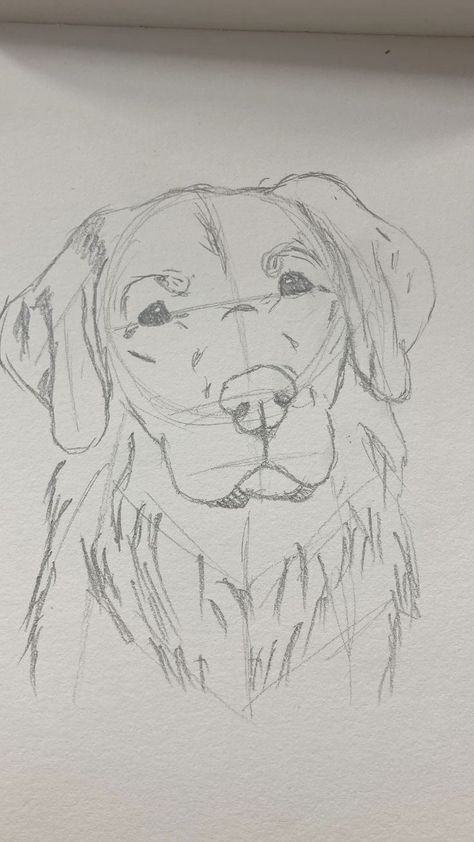 Sketch Book Animal, Sketch Of Golden Retriever, Golden Retriever Simple Drawing, Dogs Drawing Sketches, Drawing Of Dogs Sketches, How To Sketch A Dog, Cat And Dog Sketch, Golden Retriever Doodle Drawing, Realistic Dog Sketch