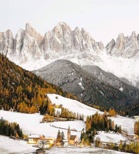 🇮🇹 The Dolomites in autumn (Italy) by Ivan Kmit (@ivankmit_photography) • Instagram �🍂❄️ Small Town Winter, Autumn Italy, Mountain Christmas, Mountains Aesthetic, Snow Forest, The Dolomites, Snowy Mountain, Snowy Forest, Forest Pictures