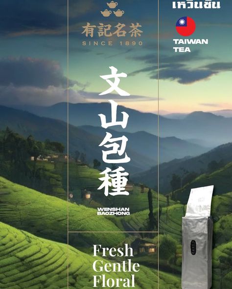 Wen Shan Bao Zheng (Oolong Tea) Fresh，Floral, Gentle Origin: Taiwan 🇹🇼 Amount: 100g / Bag A specially prepped and lightly oxidized tea that will transport you to mountains of serenity. #taiwantea #ewkeetea #threeteapots Taiwan Tea, Oolong Tea, Tea Shop, Taiwan, Tea Pots, Tea, Floral