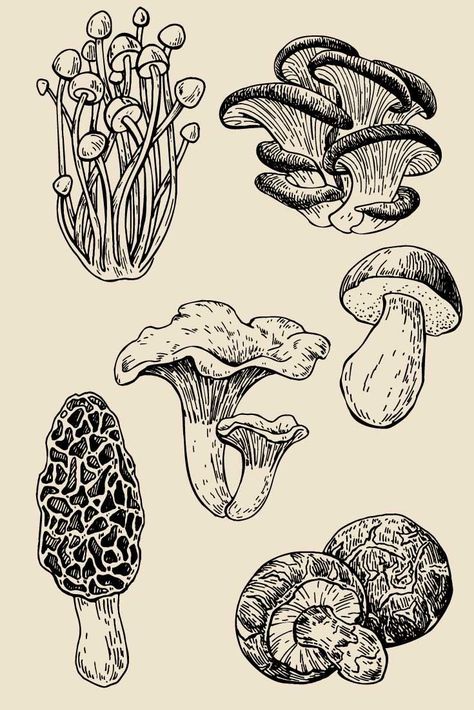 Tato Flash, Mushroom Tattoos, Mushroom Drawing, Pencil Drawings Easy, Wood Carving Tools, Arte Sketchbook, Mushroom Art, Carving Tools, Sketchbook Art Inspiration