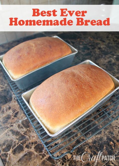 Homemade Bread Bread Blueberry, Filet Mignon Chorizo, Best Homemade Bread, Resepi Roti, Homemade Bread Recipe, Best Bread Recipe, Baking Bread, Italian Bread, Bread Machine Recipes