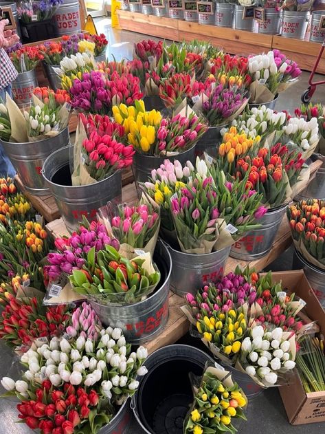 Boquette Flowers, Home Gardening, Nothing But Flowers, Plant Aesthetic, Flower Therapy, Spring Aesthetic, Nature Plants, Tulips Flowers, Nature Aesthetic