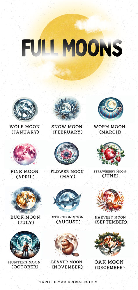 Unveil the mystical meanings behind the 12 names of the Full Moon! From January's Wolf Moon to December's Cold Moon, each one holds unique energy and symbolism. Perfect for aligning your spiritual practices, moon rituals, or simply learning more about the lunar cycles. Tap into the power of the moon and let it guide your journey! 🌙💫 #FullMoonNames #LunarMagic #MoonPhases #SpiritualAwakening #MoonRituals Beaver Moon Meaning, Names Of Moons, Names Meaning Moon, Full Moon Witchcraft, Full Moon Cycle, Full Moon Names, Moon Element, Moon Meaning, Moon Names