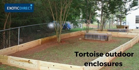 How to build an outdoor tortoise enclosure - ExoticDirect Tortoise Enclosure Indoor, Outdoor Tortoise Enclosure, Turtle Enclosure, Turtle Terrarium, Small Tortoise, Tortoise Food, Turtle Homes, Tortoise House, Tortoise Enclosure