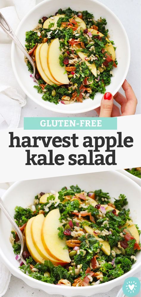 Harvest Apple Kale Salad With Balsamic Dressing - This yummy fall kale salad has sweet apples, crunchy nuts, and a tangy balsamic dressing that's perfect to tie everything together. Don't miss our "secret" tricks for the best kale salad! (Gluten-Free, Vegan-Friendly) // Fall Kale Salad // Apple Kale Salad Recipe // Harvest Kale Salad // Fall Salad #healthylunch #kalesalad #healthylunch #applerecipes Harvest Kale Salad, Apple Kale Salad, Fall Kale Salad, Harvest Kale, Macro Eating, Salad Fall, Best Kale Salad, Paleo Veggies, Salad Apple