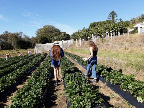 Odd Aesthetic, Stardew Valley Aesthetic, Valley Aesthetic, Aesthetic Earth, Blackberry Wine, Farm Road, Friend Aesthetic, Strawberry Farm, Easy Magic