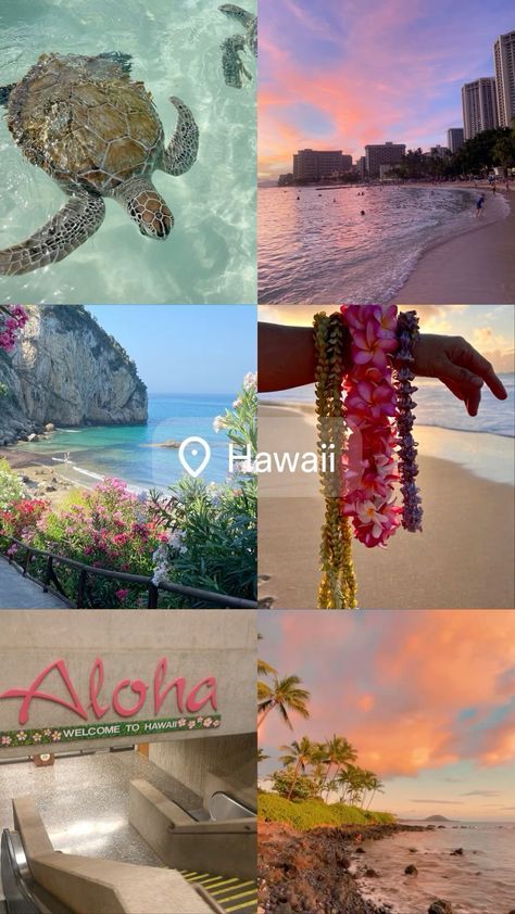 Hawaii Aesthetic Photos, Hawaii Trip Aesthetic, Hawaii Vision Board, Hawaii Vacation Aesthetic, Hawaii Vibes Aesthetic, Aesthetic Places To Travel, Hawaii Collage, Tropical Vacation Places, Vacation Places In Usa