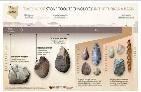 Timeline of stone tool technology in the Turkana basin. ••••• The Early Stone Age in Africa - which spanned from approximately 2.6 million… Stone Age Tools, Old Tools, Stone Age, Fossil, Evolution, Brain, Technology, Tools, Stone