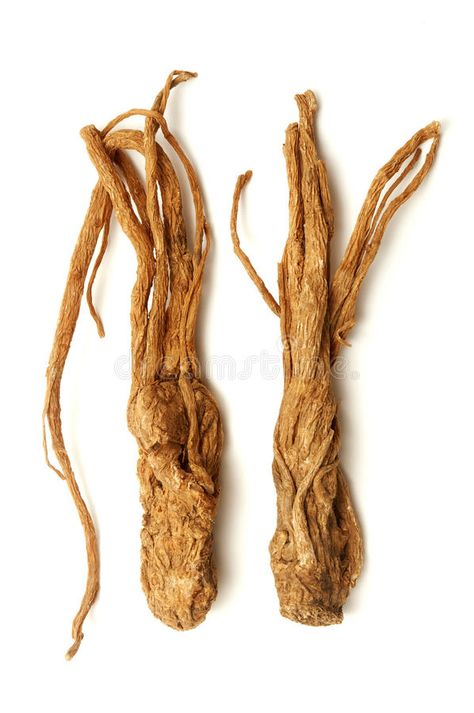 Angelica sinensis. On a white background #Sponsored , #SPONSORED, #AFFILIATE, #Angelica, #white, #background, #sinensis Herbs For Women, Angelica Sinensis, Dong Quai, Menstrual Cramp Relief, Angelica Root, Agnus Castus, Irregular Periods, Chinese Herbal Medicine, Menstrual Period