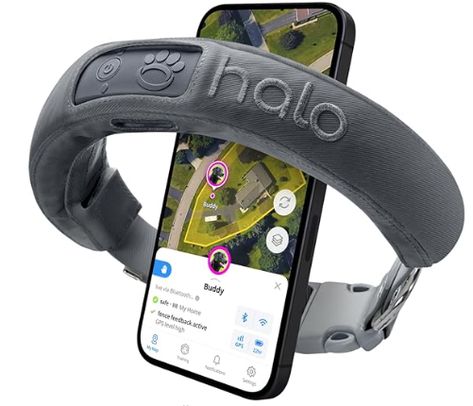 Halo Collar 3, the Most Accurate GPS Dog Fence Available - The Halo collar 3 wireless dog fence system uses Proprietary PrecisionGPS AI software to leverage direct GPS signals and ignore false data. Unlike any other tracking collar for dogs, Halo uses an active GPS antenna that engages satellites to provide better reception in areas with poor coverage. Collar Outfits Aesthetic, Halo Collar, Cat Fence, Wireless Dog Fence, Dog Shock Collar, Pet Fence, Cesar Millan, Time Tracking, Electric Fence